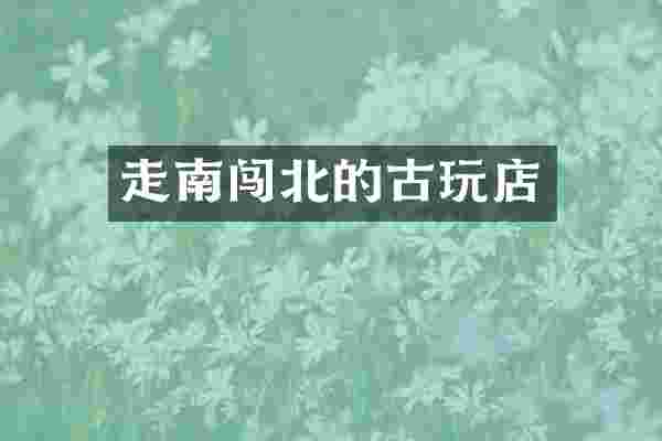 走南闯北的古玩店
