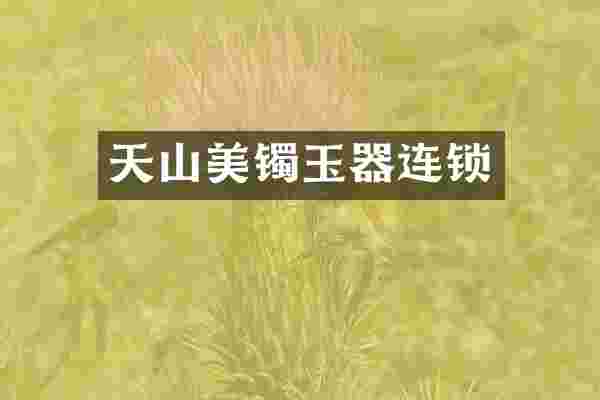 天山美镯玉器连锁