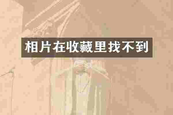相片在收藏里找不到