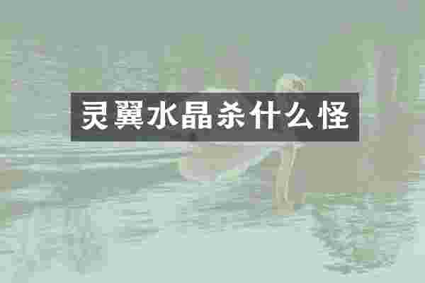 灵翼水晶杀什么怪