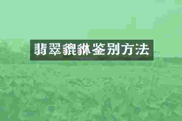 翡翠貔貅鉴别方法