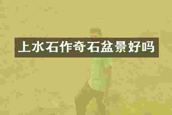 上水石作奇石盆景好吗