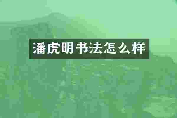 潘虎明书法怎么样