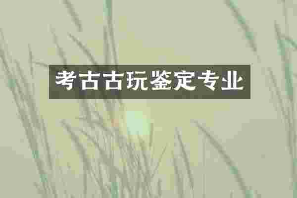 考古古玩鉴定专业