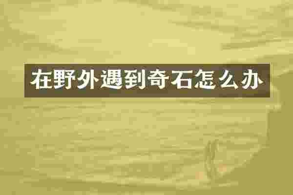 在野外遇到奇石怎么办