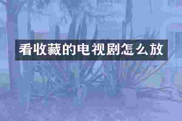 看收藏的电视剧怎么放