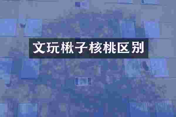 文玩楸子核桃区别