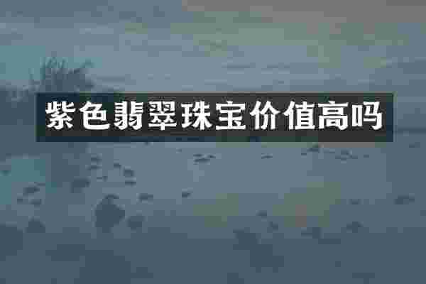 紫色翡翠珠宝价值高吗