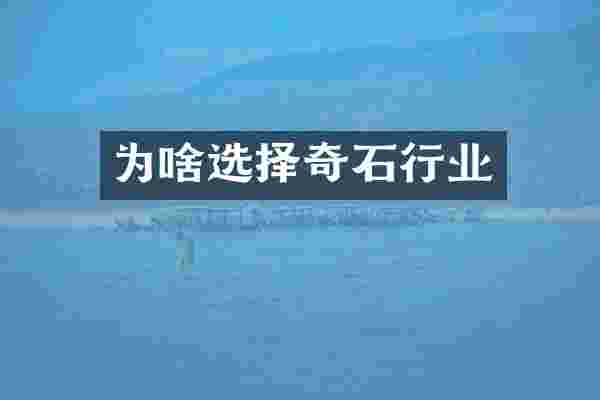 为啥选择奇石行业