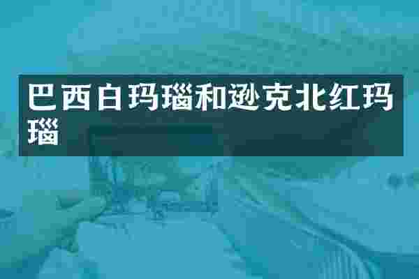 巴西白玛瑙和逊克北红玛瑙