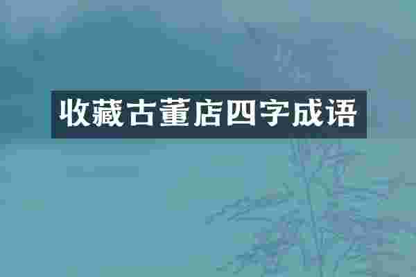 收藏古董店四字成语
