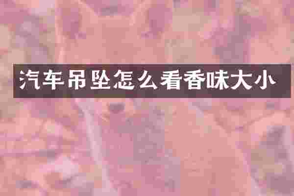 汽车吊坠怎么看香味大小