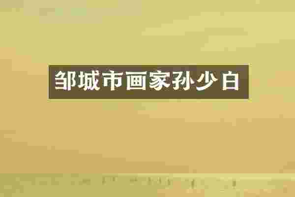 邹城市画家孙少白