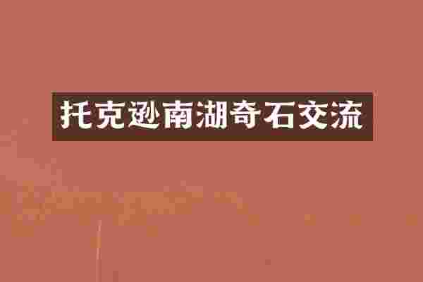托克逊南湖奇石交流