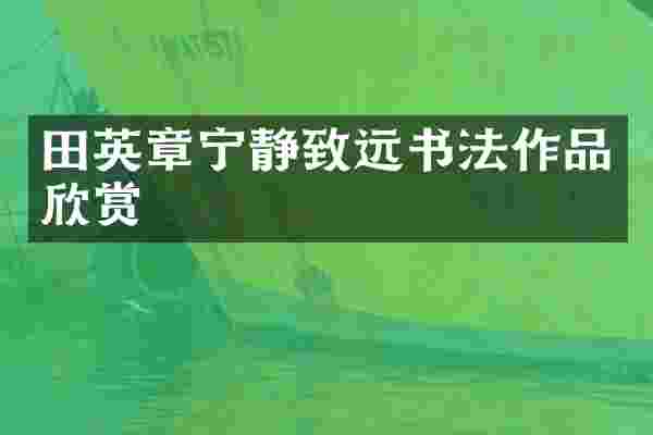 田英章宁静致远书法作品欣赏