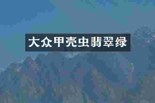 大众甲壳虫翡翠绿