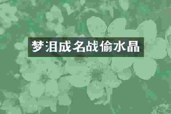 梦泪成名战偷水晶