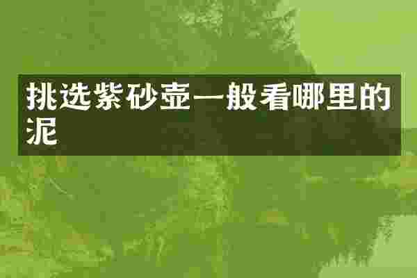 挑选紫砂壶一般看哪里的泥