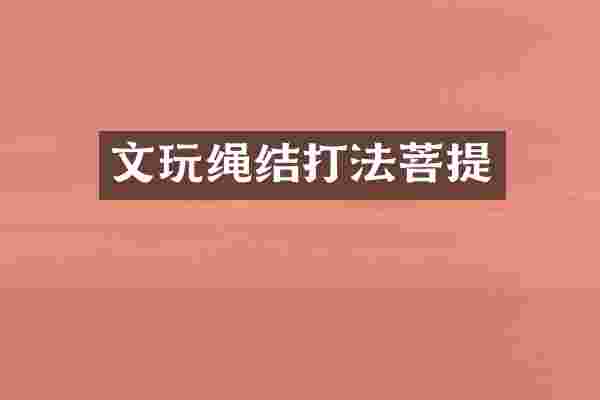 文玩绳结打法菩提