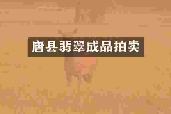 唐县翡翠成品拍卖