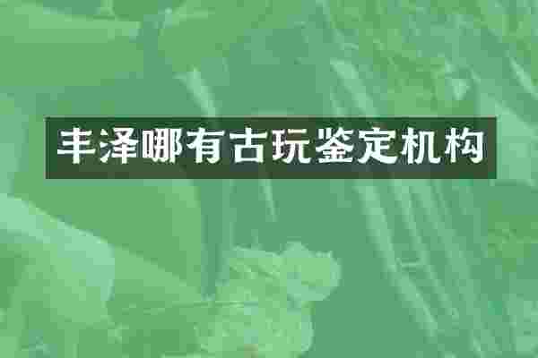 丰泽哪有古玩鉴定机构