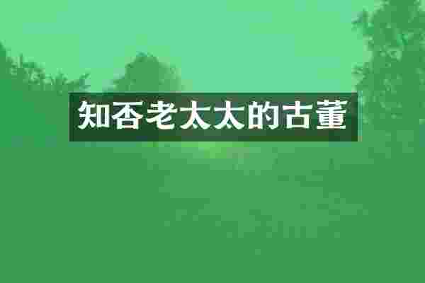 知否老太太的古董