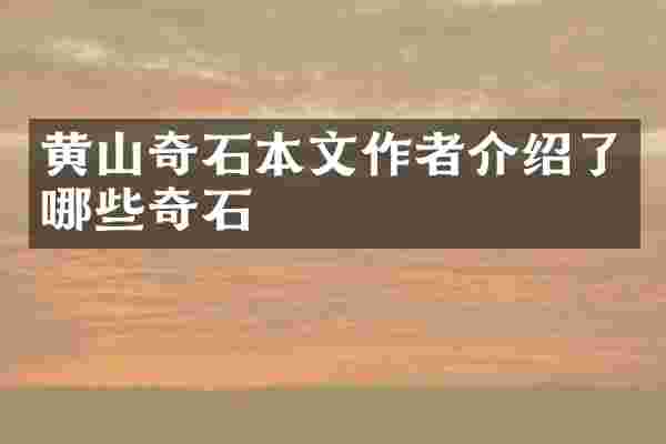 黄山奇石本文作者介绍了哪些奇石