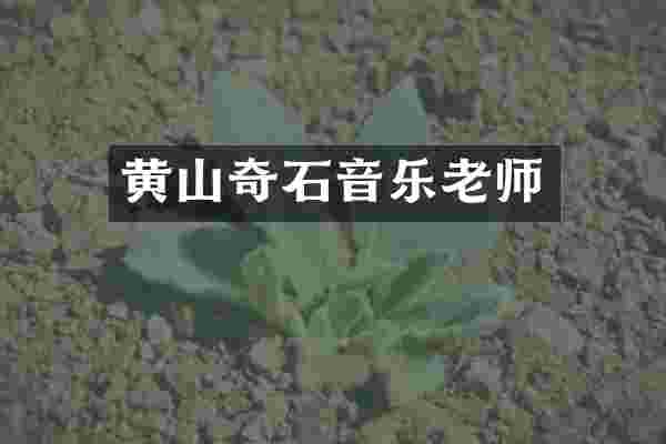黄山奇石音乐老师
