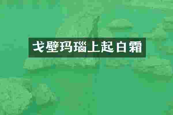 戈壁玛瑙上起白霜