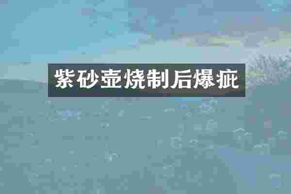 紫砂壶烧制后爆疵