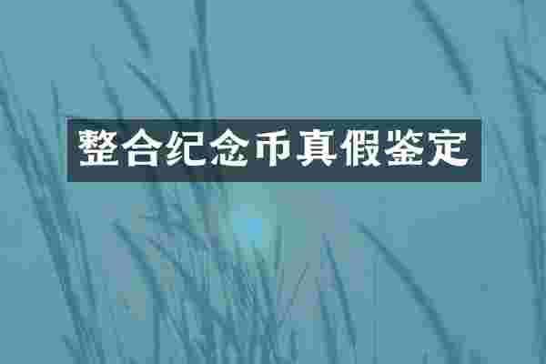 整合纪念币真假鉴定
