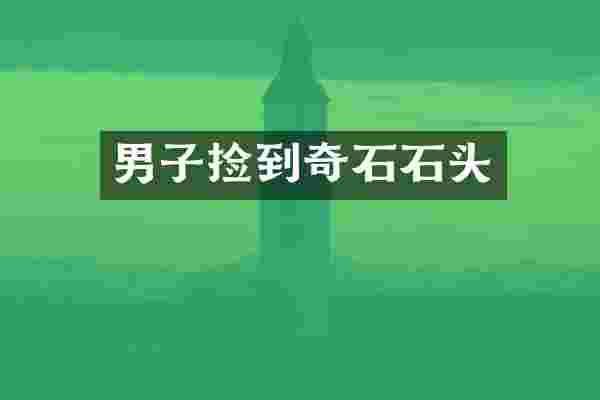 男子捡到奇石石头