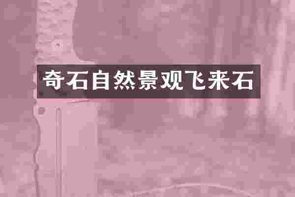 奇石自然景观飞来石