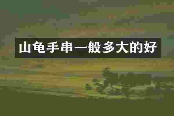 山龟手串一般多大的好