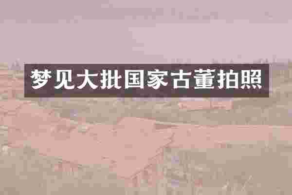 梦见大批国家古董拍照