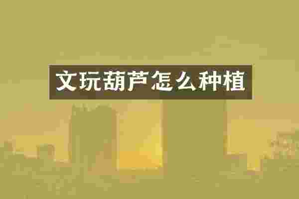 文玩葫芦怎么种植
