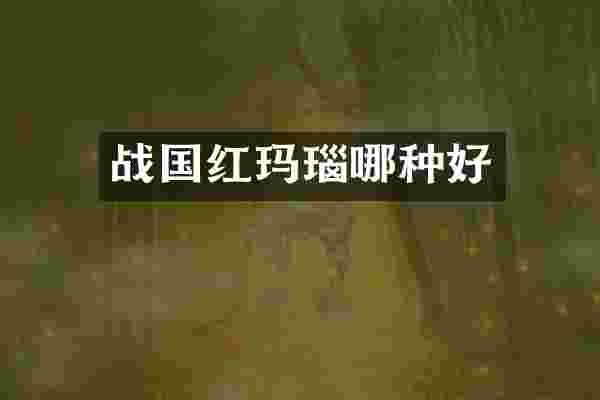 战国红玛瑙哪种好