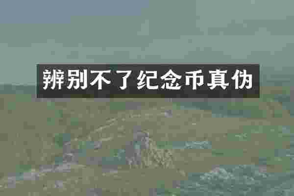 辨别不了纪念币真伪