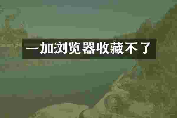 一加浏览器收藏不了