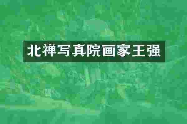 北禅写真院画家王强