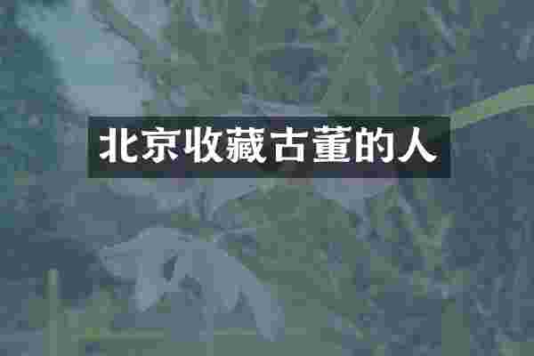 北京收藏古董的人