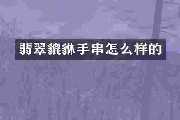 翡翠貔貅手串怎么样的
