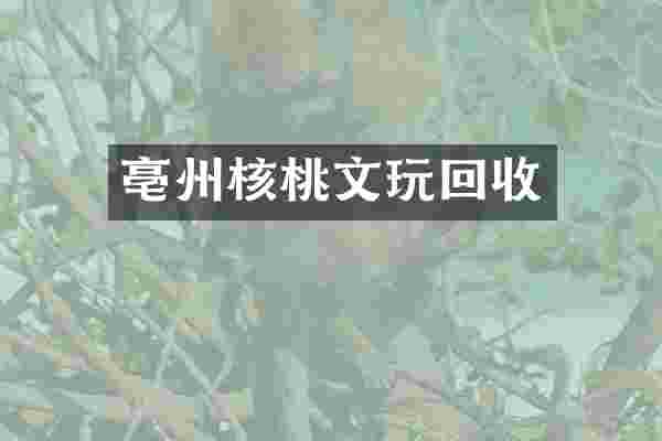 亳州核桃文玩回收