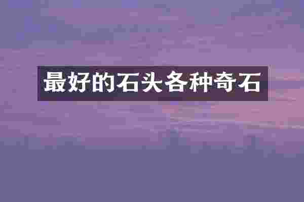 最好的石头各种奇石