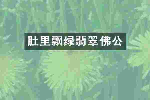 肚里飘绿翡翠佛公