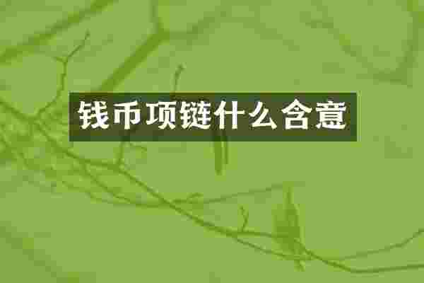 钱币项链什么含意