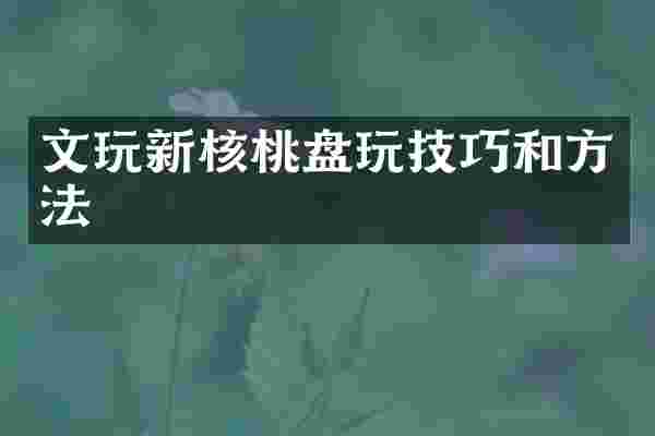 文玩新核桃盘玩技巧和方法