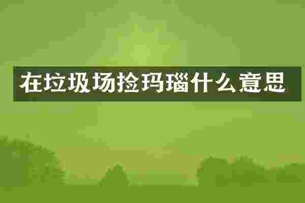在垃圾场捡玛瑙什么意思