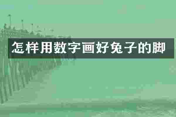 怎样用数字画好兔子的脚