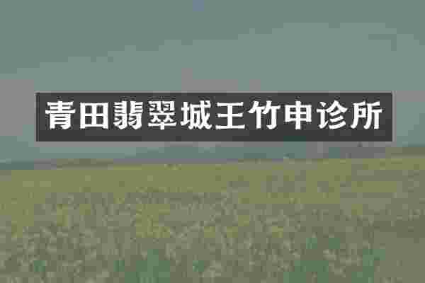 青田翡翠城王竹申诊所